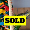 Talking Military Macaw for Sale